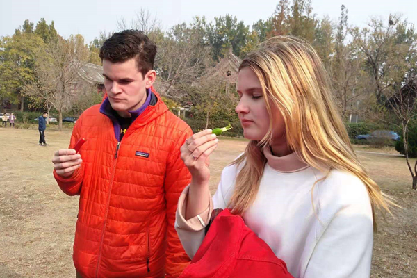 1541659965158529.jpg g_副本.jpg