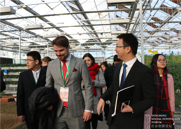 1513670669813042.jpg 17_副本.jpg