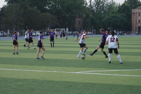 1559024337861582.jpg 微信图片_20190528135650_副本.jpg